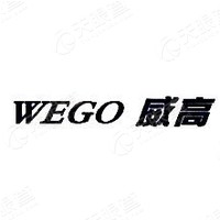 山东威高集团医用高分子制品股份有限公司