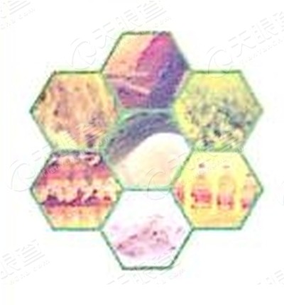 艾佳Logo