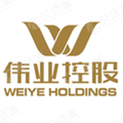 伟业控股集团有限公司