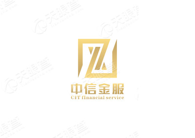西安中信金服财务咨询有限公司