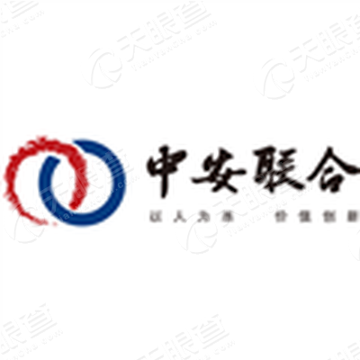 中安联合投资集团有限公司logo