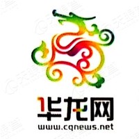 重庆华龙网集团股份有限公司