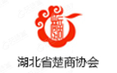 湖北联合楚商商务有限公司logo