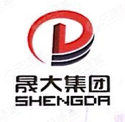 广东晟大房地产控股有限公司logo