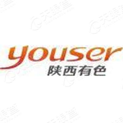 陕西有色金属控股集团有限责任公司logo