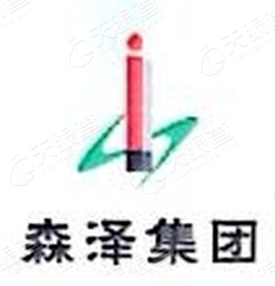 山西森泽能源科技集团有限公司