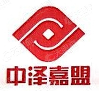 中泽嘉盟投资有限公司