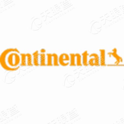 康迪泰克(上海)橡塑技术有限公司