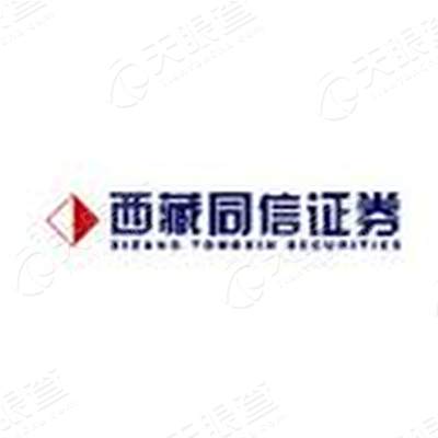 西藏东方财富证券股份有限公司logo