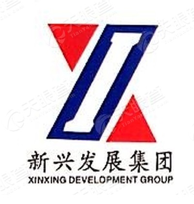 新兴发展(青岛)投资管理有限公司logo