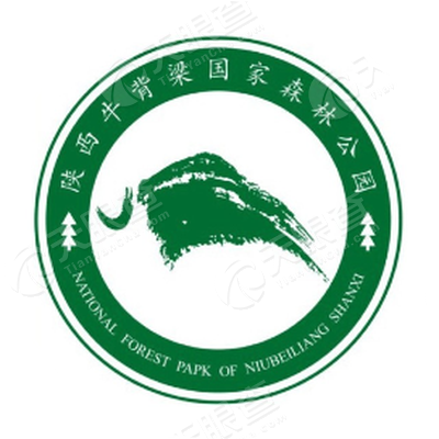 陕西牛背梁森林公园