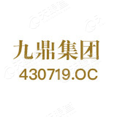 同创九鼎投资管理集团股份有限公司