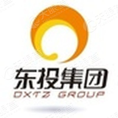 江西东旭投资集团有限公司