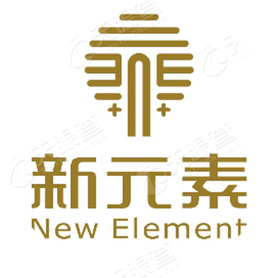 深圳市新元素医疗技术开发有限公司