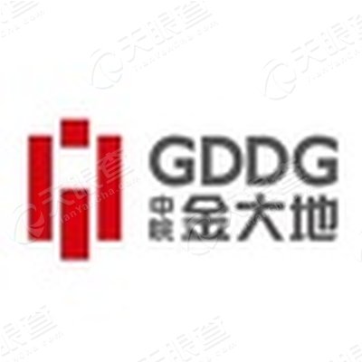 安徽金大地投资控股有限公司