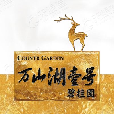 碧桂园万山湖壹号
