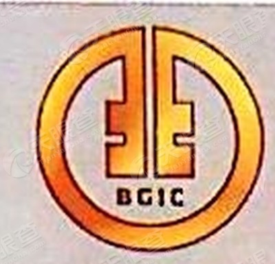 广西金融投资集团有限公司马山综合金融服务分