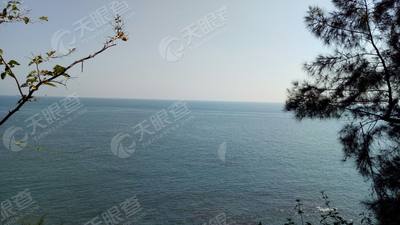 广西南宁源茗创房地产营销策划有限公司_【信