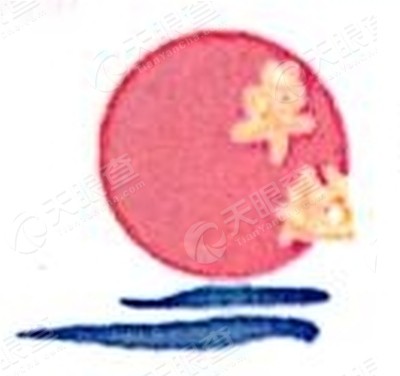 新疆卓越工程项目管理有限公司喀什一分公司_