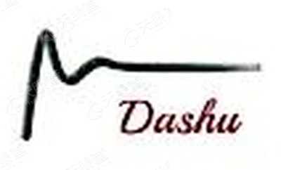 深圳前海大数金融服务有限公司广州分公司_【