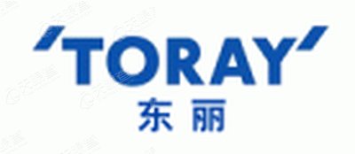 东丽高新聚化(南通)有限公司