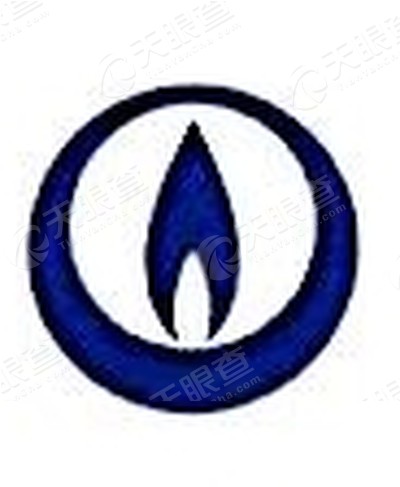 重庆两江新区燃气有限责任公司_【信用信息_