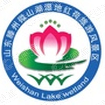 人员 主要人员 2 监事 马珂 他有7家公司 > 执行董事兼经理 刘晋军 他