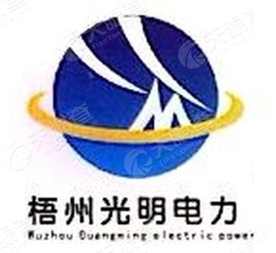 广西梧州光明电力实业有限公司广州分公司_【