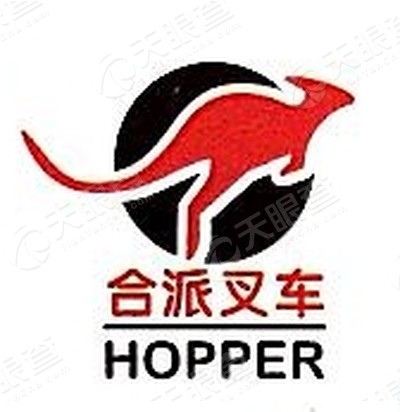 上海东明玛西尔电动车有限公司