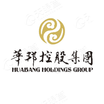 华邦控股集团有限公司