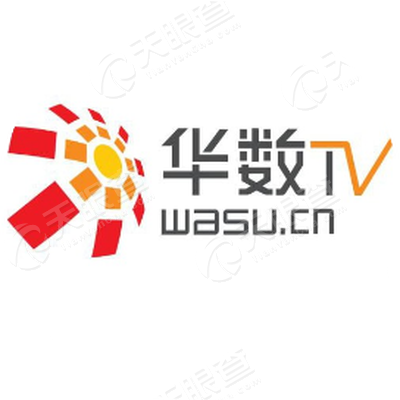 华数传媒网络有限公司