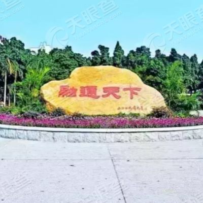 广州微豆网络科技有限公司