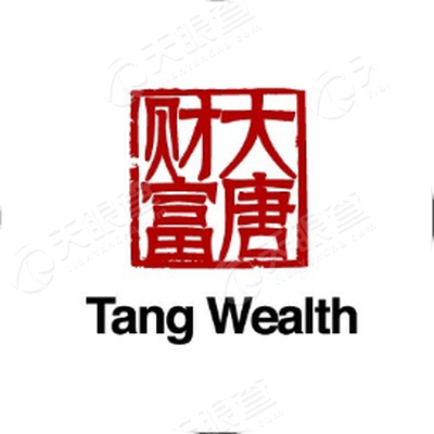 大唐财富投资管理有限公司