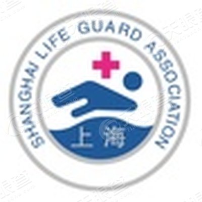 上海市游泳救生协会