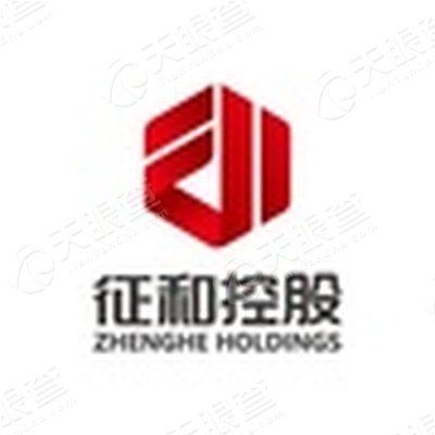 北京征和开元控股有限公司