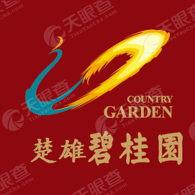 楚雄碧桂园物业发展有限公司_【信用信息_诉