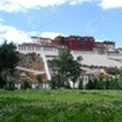 拉萨城关区洁达园林绿化投资工程有限公司