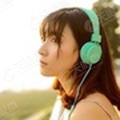 陵县语录网络有限公司_【信用信息_诉讼信息