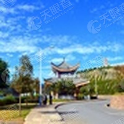 吕合镇人口_人口普查图片