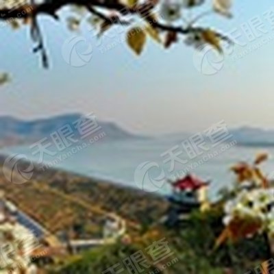 费县觉知湾旅游度假有限公司_【信用信息_诉