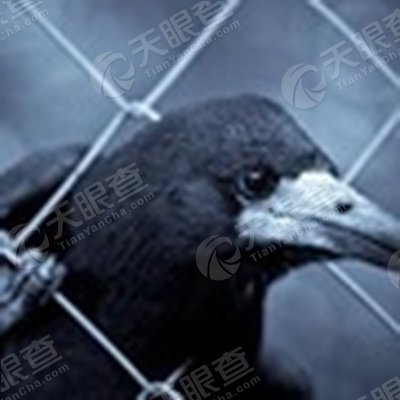 南京万得资讯科技有限公司_【信用信息_诉讼