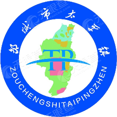 邹城的太平镇GDP_邹城地图