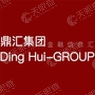 青岛鼎汇经济信息咨询集团有限公司