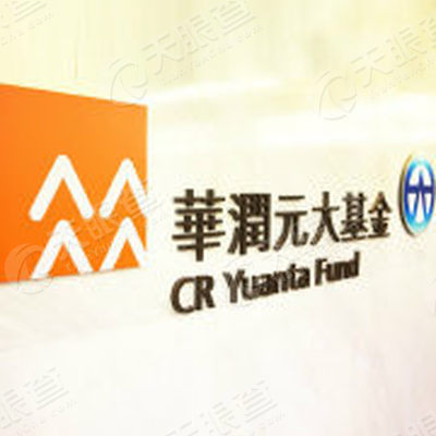 华润元大基金管理有限公司