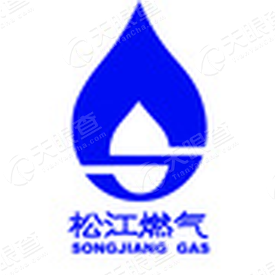 上海松江燃气有限公司