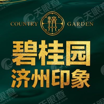 济宁市碧桂园房地产开发有限公司_【信用信息