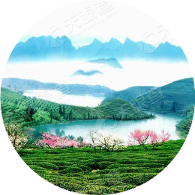 贵定各镇人口_贵定金海雪山景区