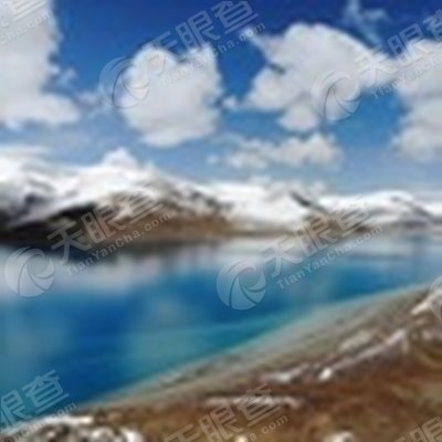 西安开米股份有限公司_工商信息_信用报告_财务报表