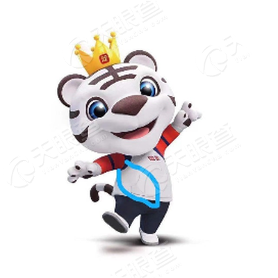 济南国美电器有限公司