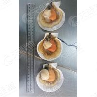 天眼查-人人都在用商业安全工具_企业信息查询